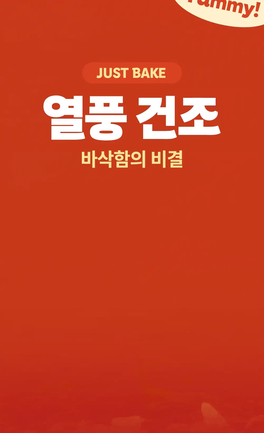 [포켓몬에디션] 빼바 프로틴 바삭칩 떡볶이맛/허니버터맛 60g 상세페이지 10